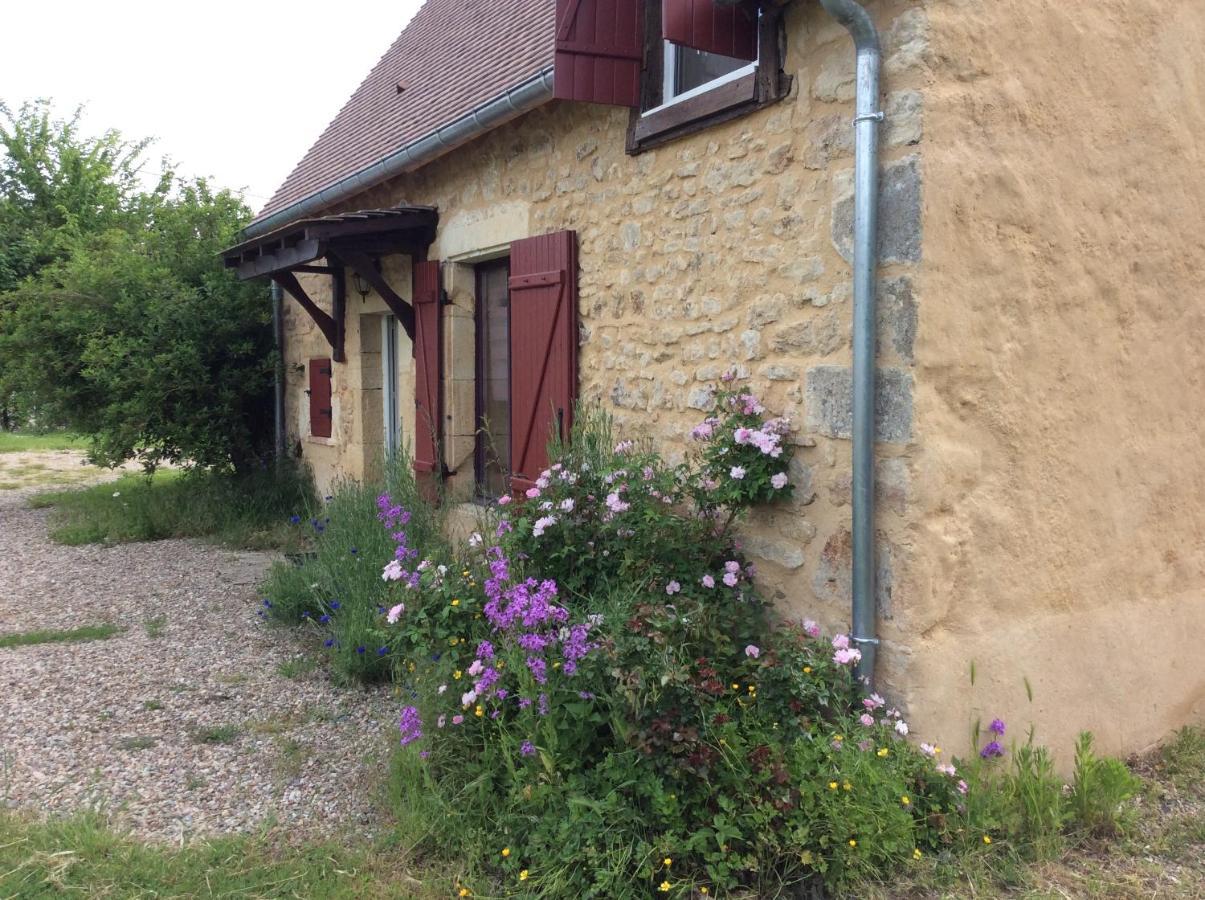 Hotel Le Moulin De Gateau Saint-Pierre-les-Etieux Esterno foto